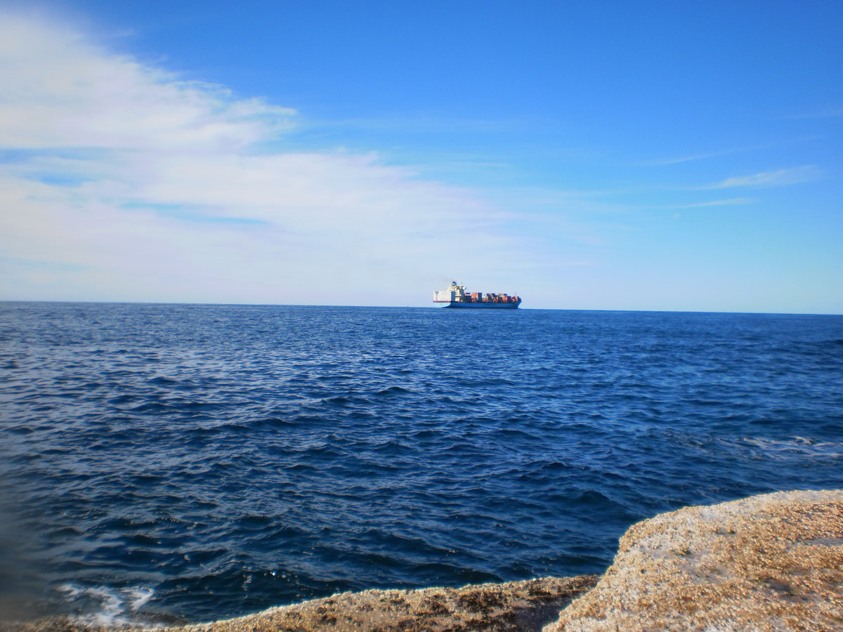 Dive photo 1 of 1