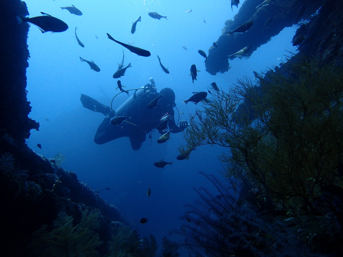 Dive photo 1 of 7
