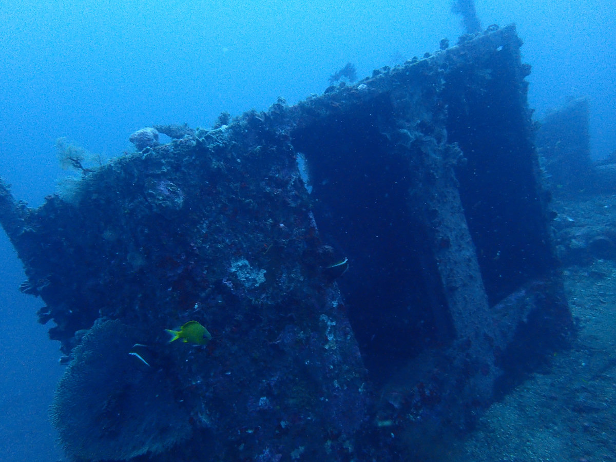 Dive photo 1 of 7