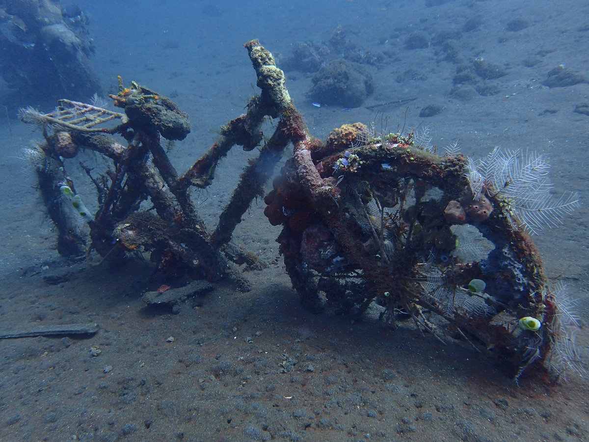 Dive photo 1 of 5