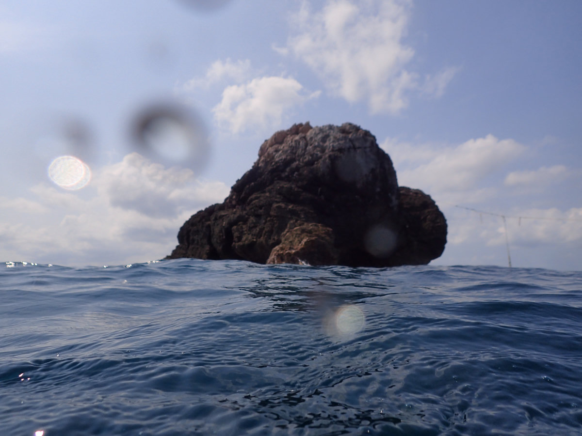 Dive photo 1 of 5