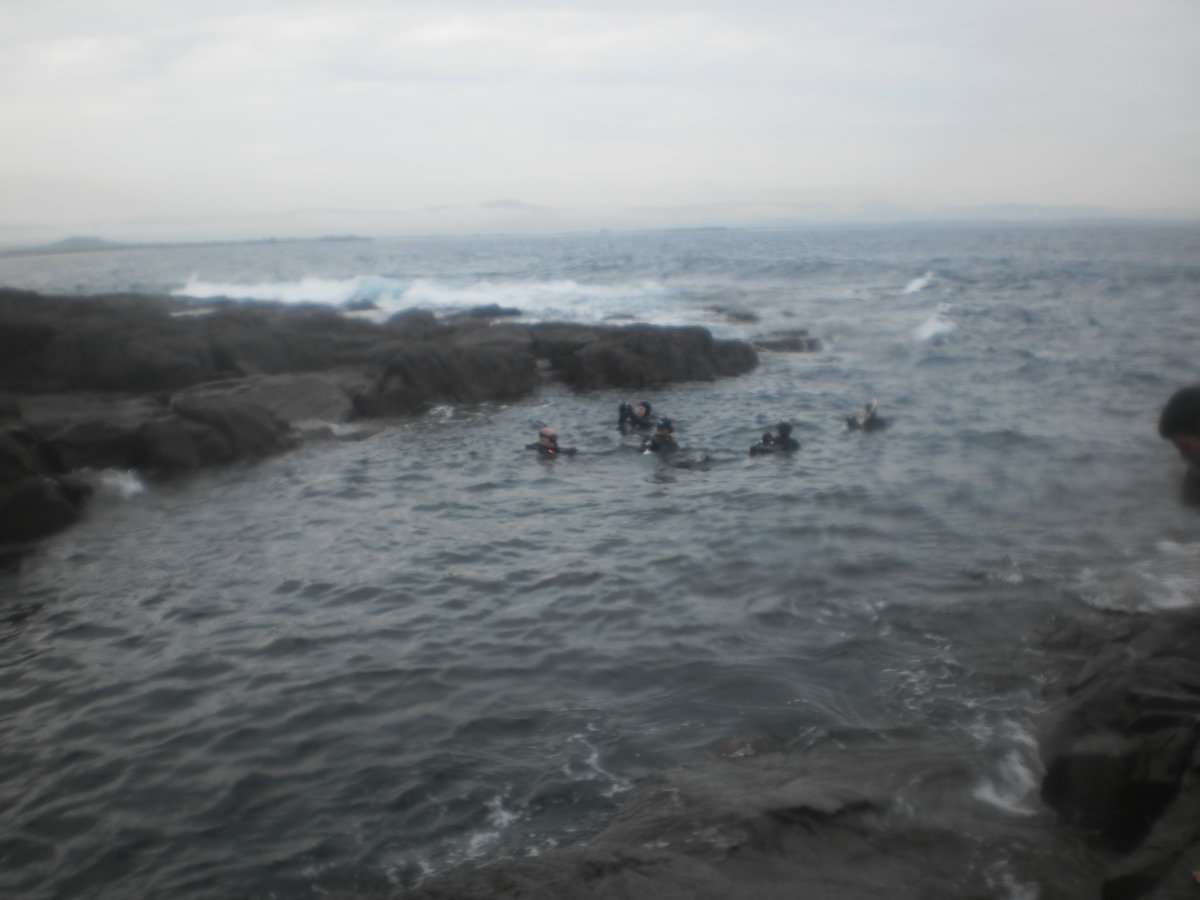 Dive photo 1 of 1