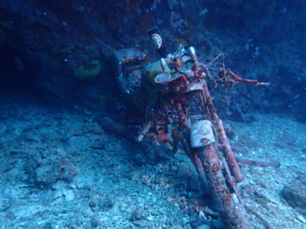 Dive photo 1 of 5